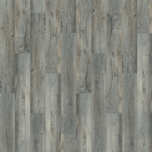Courtier Admiral  - Sample