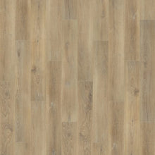 Load image into Gallery viewer, Courtier Camarilla  - Sample