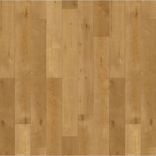 Courtier Esquire  - Sample