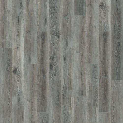 Courtier Royal  - Sample