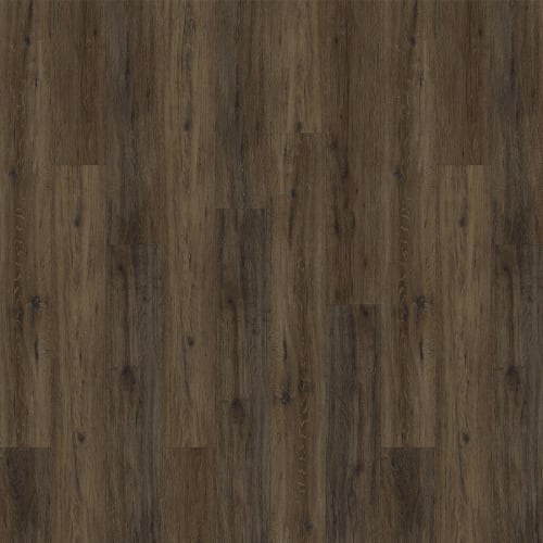 Courtier Sovereign  - Sample