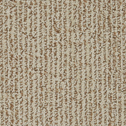 Ariel Avenue 32041 - Sample