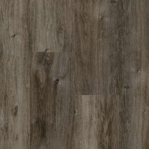 Key Biscayne Driftwood  - Sample