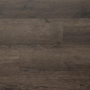 Firmfit Gold Umber  - Sample