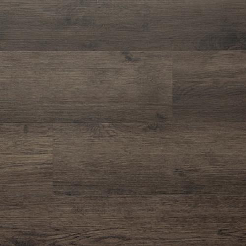 Firmfit Gold Umber  - Sample