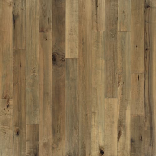 Grain  Saw Collection Greene Maple  - Sample