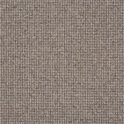Phoenix Stone Coal H1323 - Sample