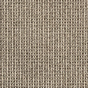 Bryce Bark Plains H0622 - Sample