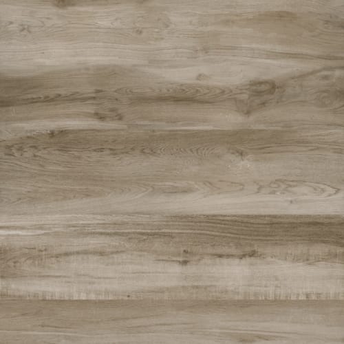 Appalachian Beige Rectified  - Sample