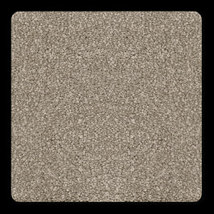 Magic Moment True Gray  - Sample