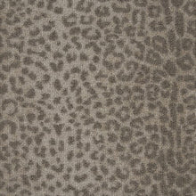 Load image into Gallery viewer, Cheetah Luster Earth EARTH - Sample