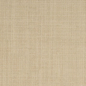 Network Sand  - Sample