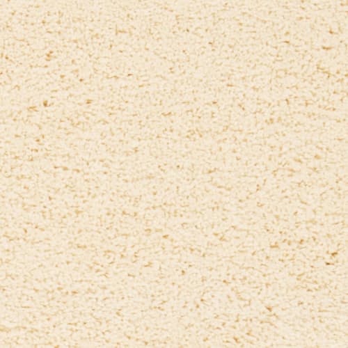 Shaggy Cream CREAM - Sample