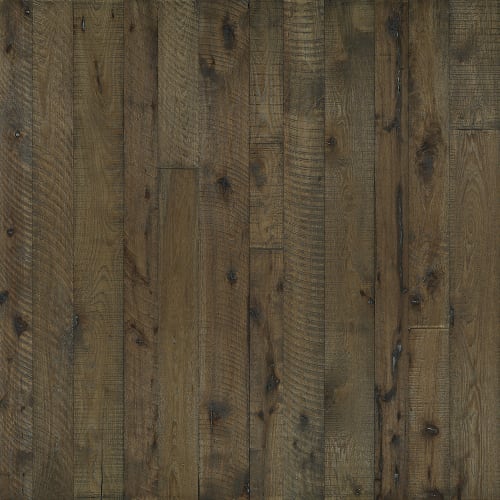 Organic 567 Darjeeling  - Sample