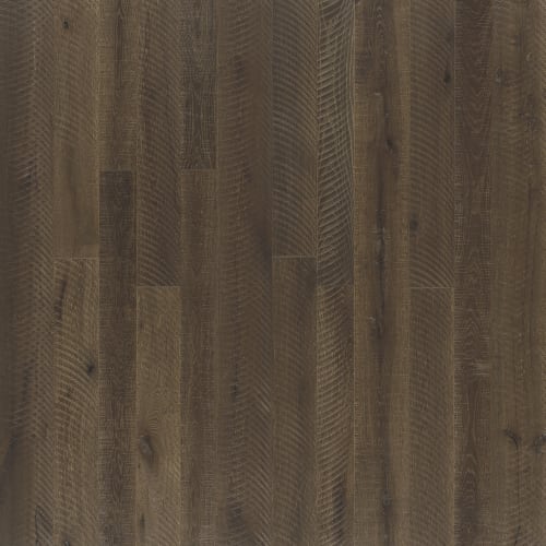 Organic 567 Eucalyptus Leaf  - Sample