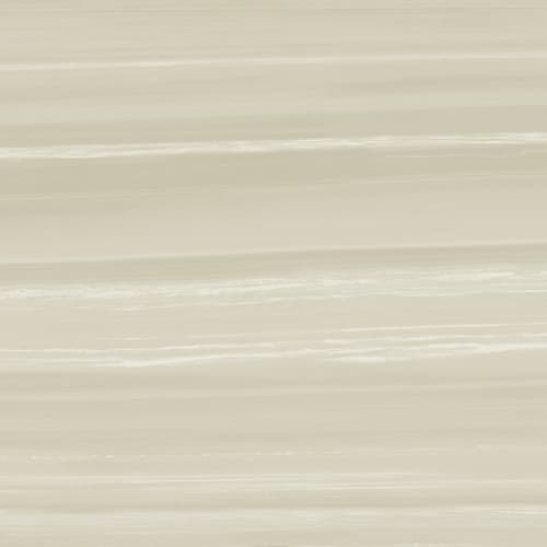 Natural Wonder Beige Matte 24X48  - Sample