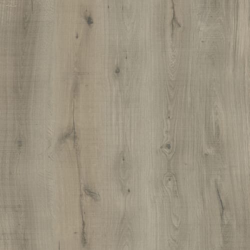 Dorn River Northbrook  - Sample
