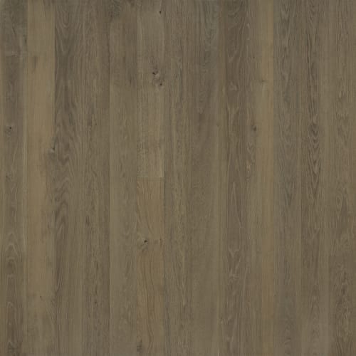 Regatta Anchor  - Sample
