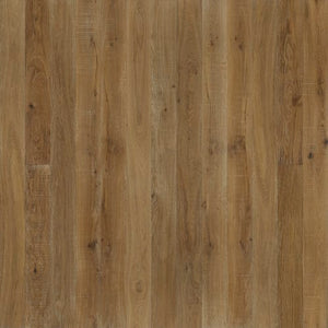 Regatta Leeward  - Sample