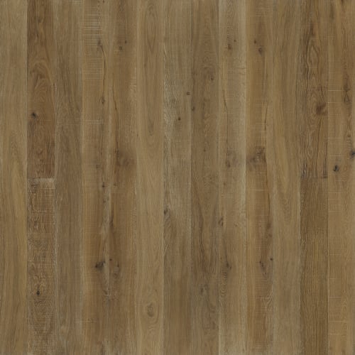 Regatta Leeward  - Sample