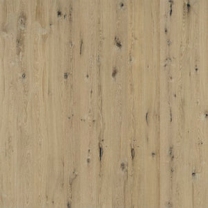 Regatta Spinnaker  - Sample