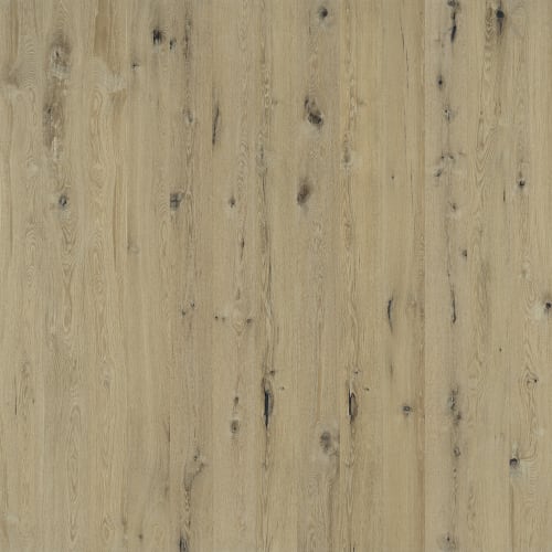 Regatta Spinnaker  - Sample