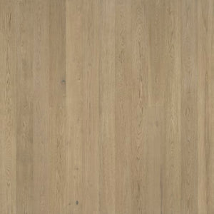 Regatta Starboard  - Sample
