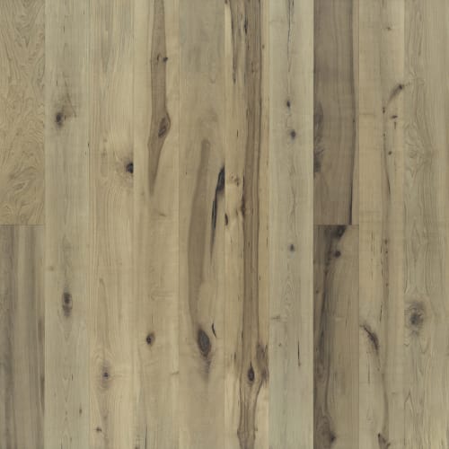 True Orris  - Sample