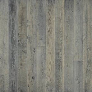 True Silver Needle  - Sample