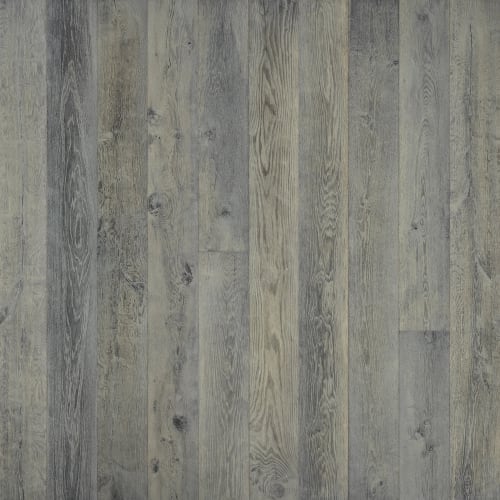 True Silver Needle  - Sample