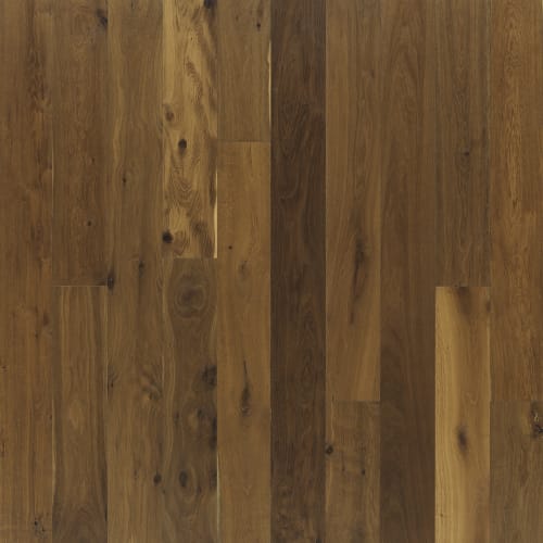 Ventura Mangrove  - Sample