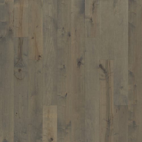 Ventura Sand Castle  - Sample