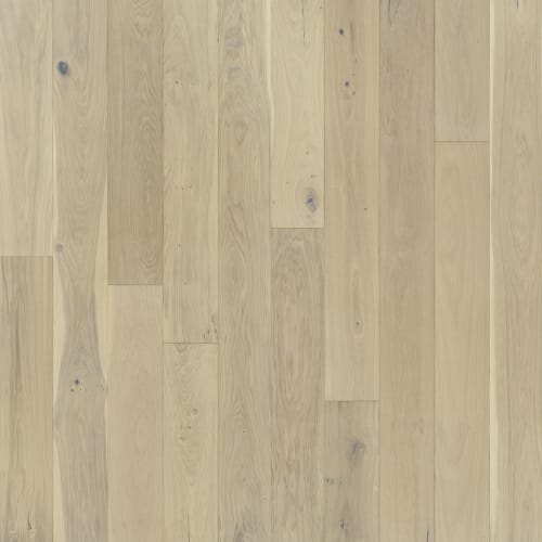 Ventura Seashell  - Sample