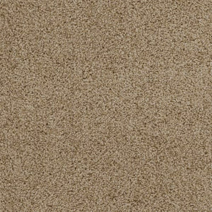 Resilience  Premium Peel And Stick Carpet Tiles Trail