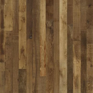 Organic Hardwood Masala Oak  - Sample