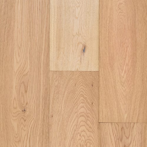 Eastport Seaboard  - Sample